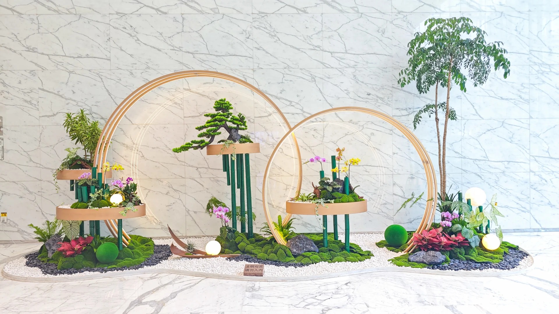 了解宁波前湾盆景出租方案，开启绿色之旅